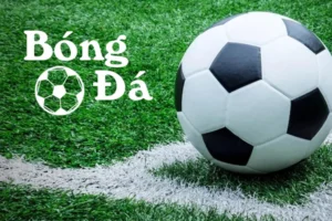 Luật Bóng Đá: Bóng Trong Cuộc Và Bóng Ngoài Cuộc Chuẩn Xác Nhất
