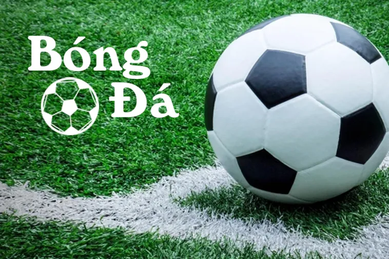 Luật Bóng Đá: Bóng Trong Cuộc Và Bóng Ngoài Cuộc Chuẩn Xác Nhất
