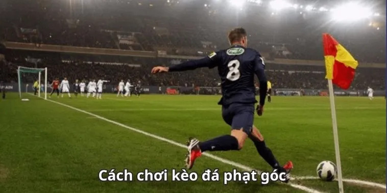 Hướng Dẫn Từ A-Z: Cách Chơi Kèo Phạt Góc Bóng Đá Tại 1Gom