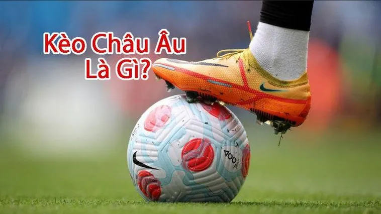 Hướng Dẫn Cách Chơi Kèo Châu Âu Tại 1Gom: Bí Kíp Thắng Lớn