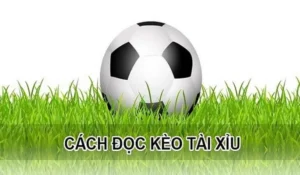 Hướng Dẫn Cách Chơi Kèo Tài Xỉu Hiệp 1 Tại 1Gom