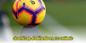 Cách Chơi Kèo Chấp 0.5 Tại 1Gom: Hướng Dẫn Từ A Đến Z