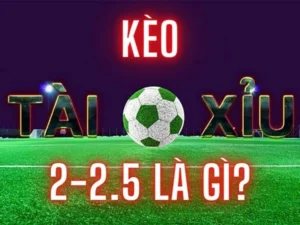 Bí Quyết Và Cách Chơi Kèo 2.25 Tại 1Gom Thắng Lớn