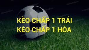 Bí Quyết Cách Chơi Kèo Chấp 1 Tại 1Gom Chiến Thắng Dễ Dàng