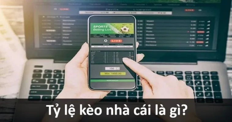 Kèo Bóng Đá Hôm Nay: Kinh Nghiệm Đọc Vị Nhà Cái Chuẩn Xác