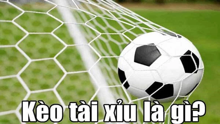 Hướng Dẫn Cách Chơi Kèo Tài Xỉu Bóng Đá Tại 1Gom Thắng Lớn