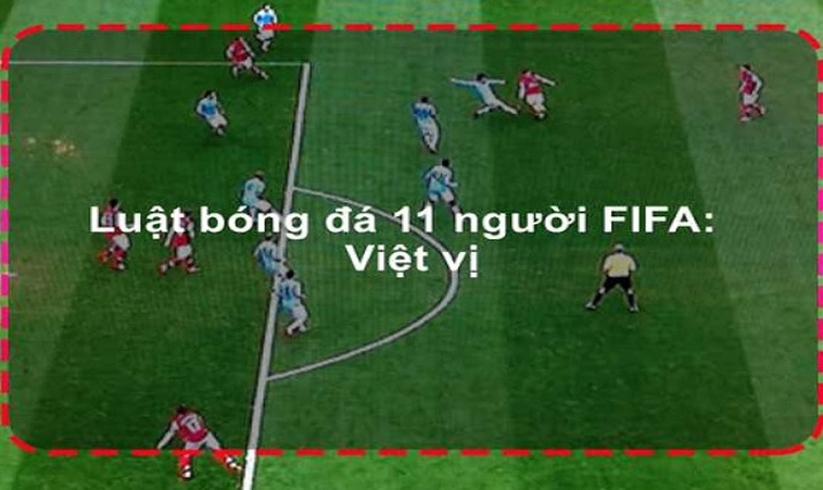 Luật Sân Bóng Đá Thi Đấu: Quy Chuẩn Kích Thước Và Mặt Cỏ FIFA