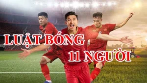 Luật Sân Bóng Đá Thi Đấu: Quy Chuẩn Kích Thước Và Mặt Cỏ FIFA