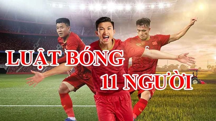 Luật Sân Bóng Đá Thi Đấu: Quy Chuẩn Kích Thước Và Mặt Cỏ FIFA