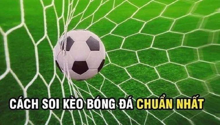 Hướng Dẫn Cách Chơi Kèo Rung Trong Bóng Đá Tại 1Gom Hiệu Quả