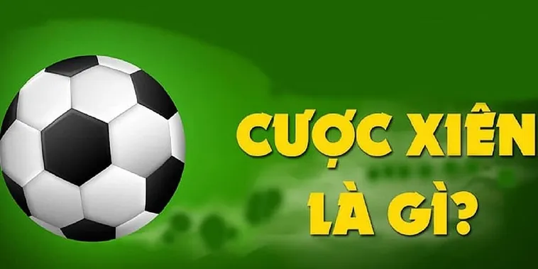 Bí Kíp Cách Chơi Kèo Xiên Trong Bóng Đá Tại 1Gom Lãi Khủng